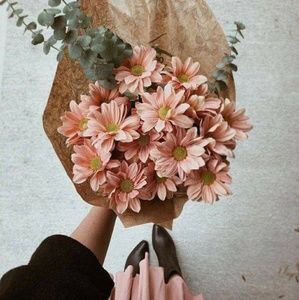 Meet your Posher, Haley